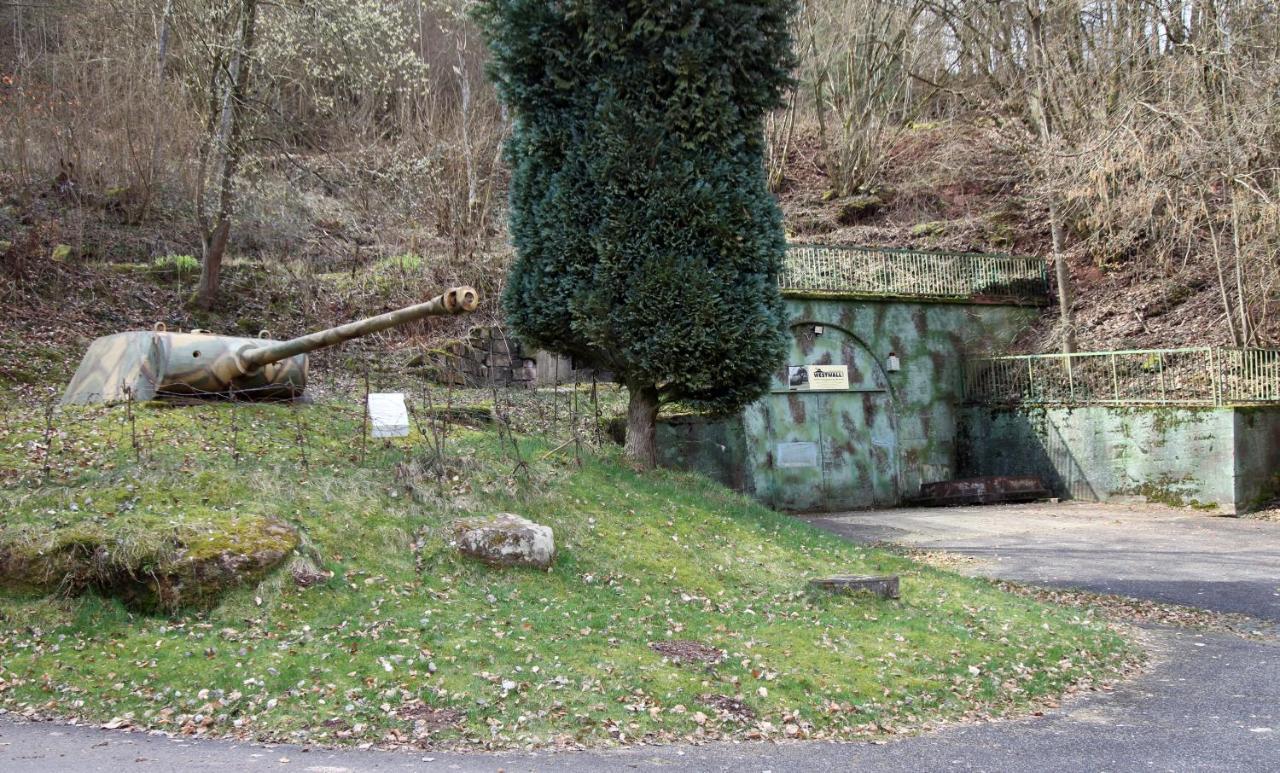 Fewo Pfaelzer Felsenlandschaft Pirmasens Ngoại thất bức ảnh